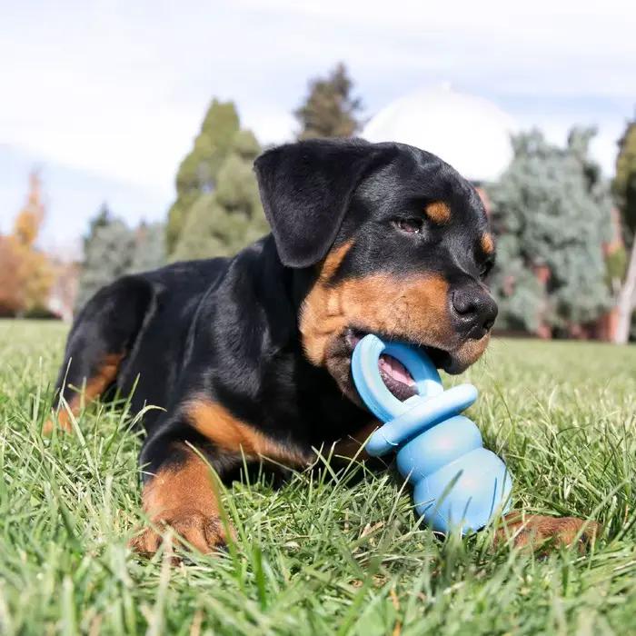 KONG Puppy Binkie Color Diverses S/M