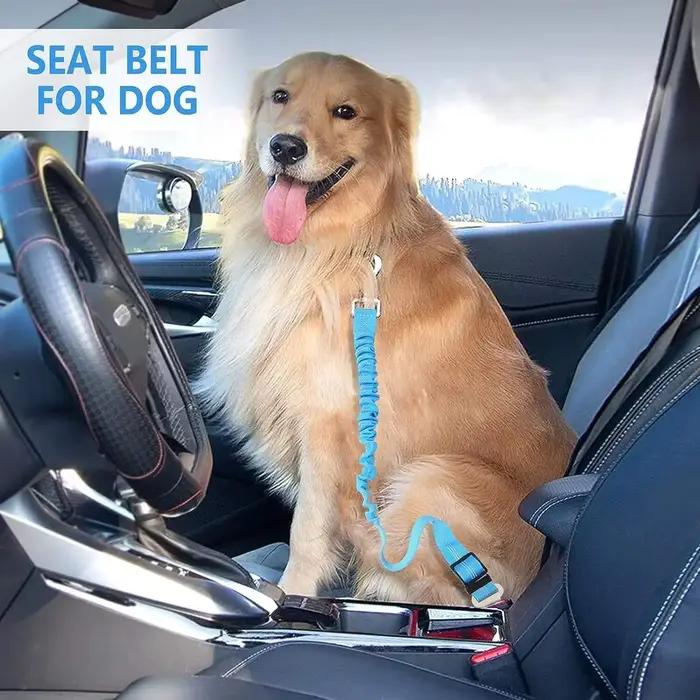 Ceinture de sécurité pour chien de haute qualité