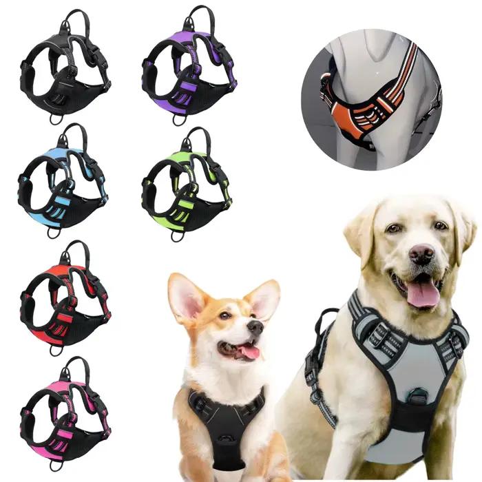 Harnissan RapDuty Casting pour grand chien