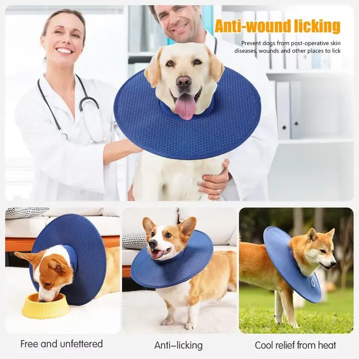 Collier de Récupération pour Chien après Chirurgie