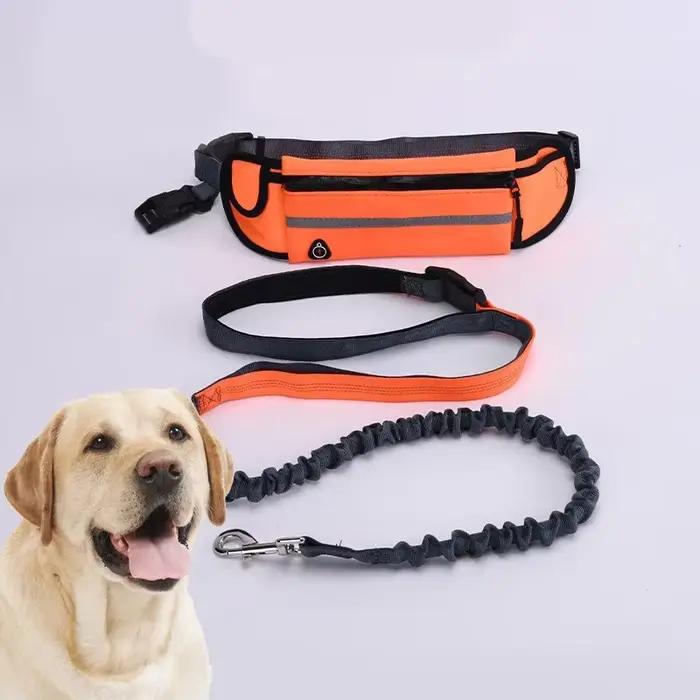 Laisse pour chien mains libres pour la course à pied