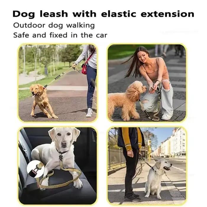 Laisse pour chien robuste et amortissante