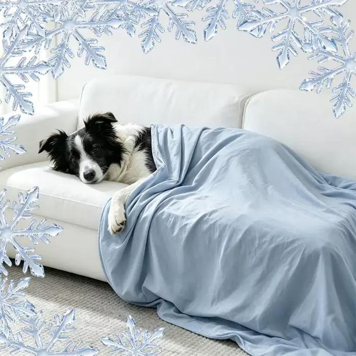 Couverture rafraîchissante d'été pour chiens et chats