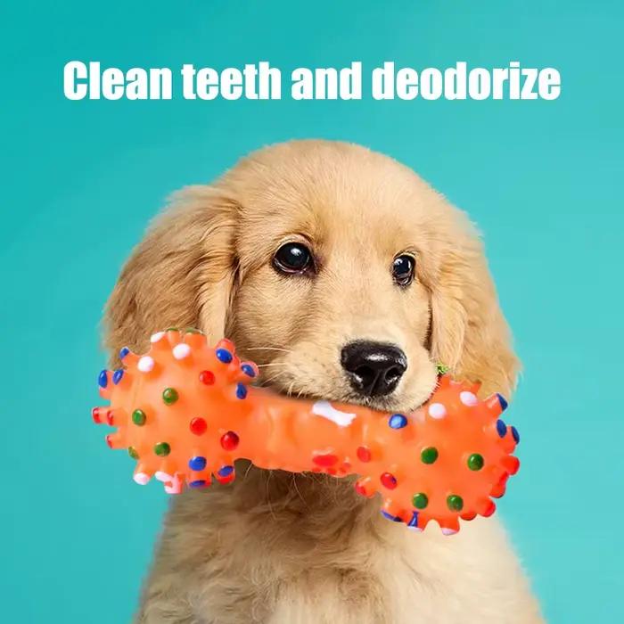 Jouet à mâcher pour chien en caoutchouc naturel