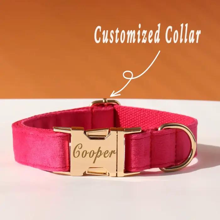 Ensemble d'arc de collier de chien personnalisé