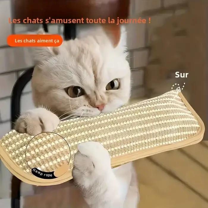 Coussin de jeu et griffoir pour chat pour le jeu individuel et l'interaction intime