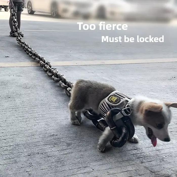 Laisse de chien créative chaîne