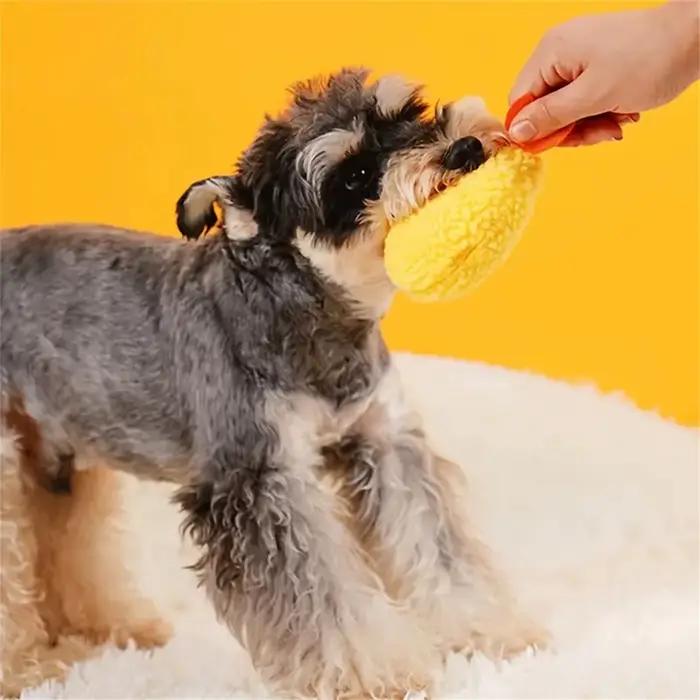 Jouet à mâcher en peluche pour animaux de compagnie