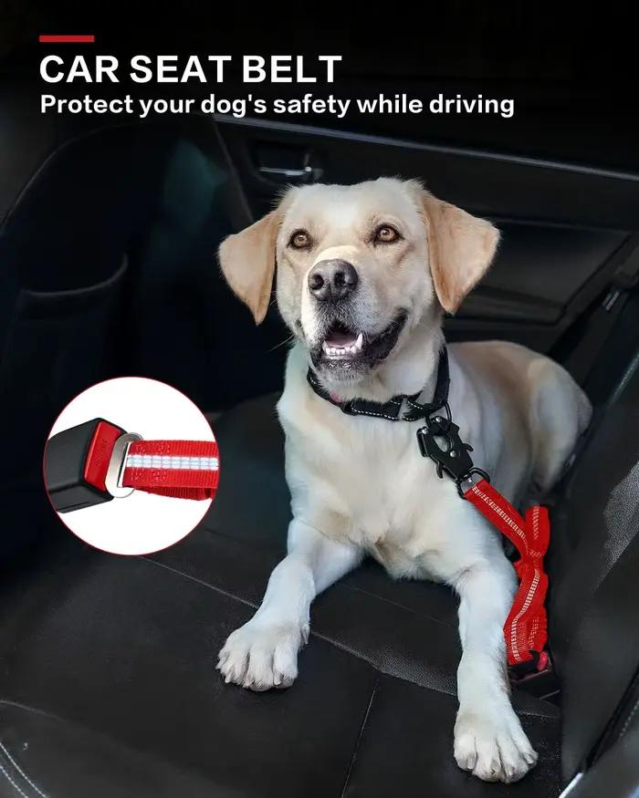 Laisse tactique pour chien robuste