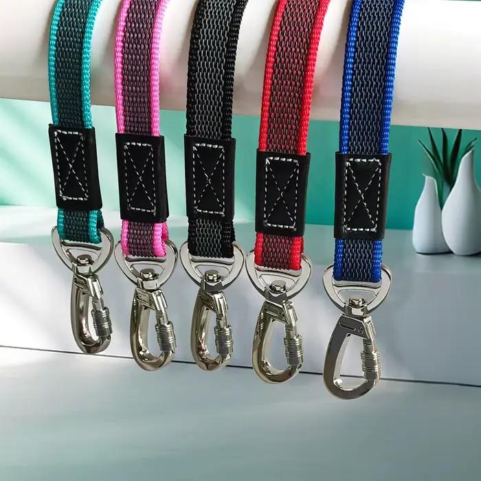 Laisse longue pour gros chien 10M 5M 3M 2M corde de Traction d'entraînement Anti-évasion Non Silp 3 2 mètres laisses en Nylon durables pour animaux de compagnie de taille moyenne et grande