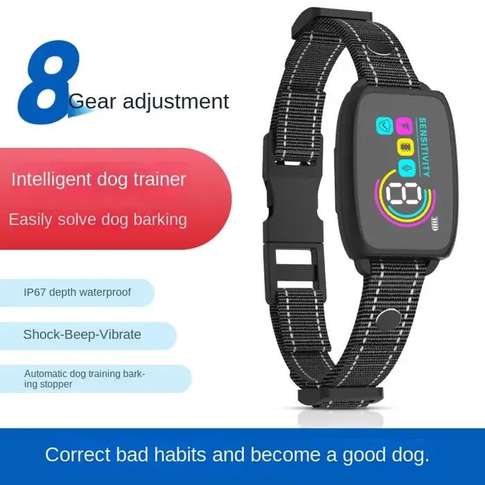 Collier Intelligent pour chien