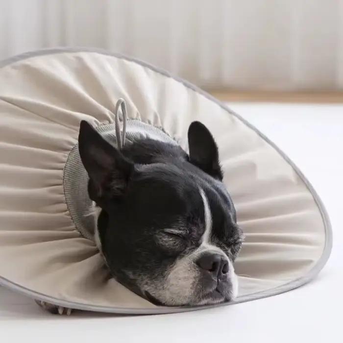 Collier de soins de stérilisation élisabéthain pour animaux de compagnie