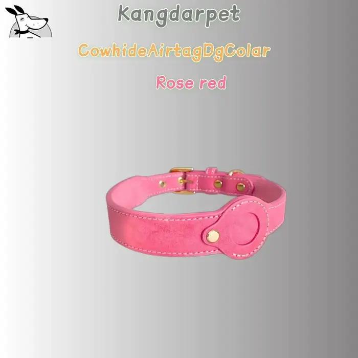 Collier pour chien en cuir véritable AirTag