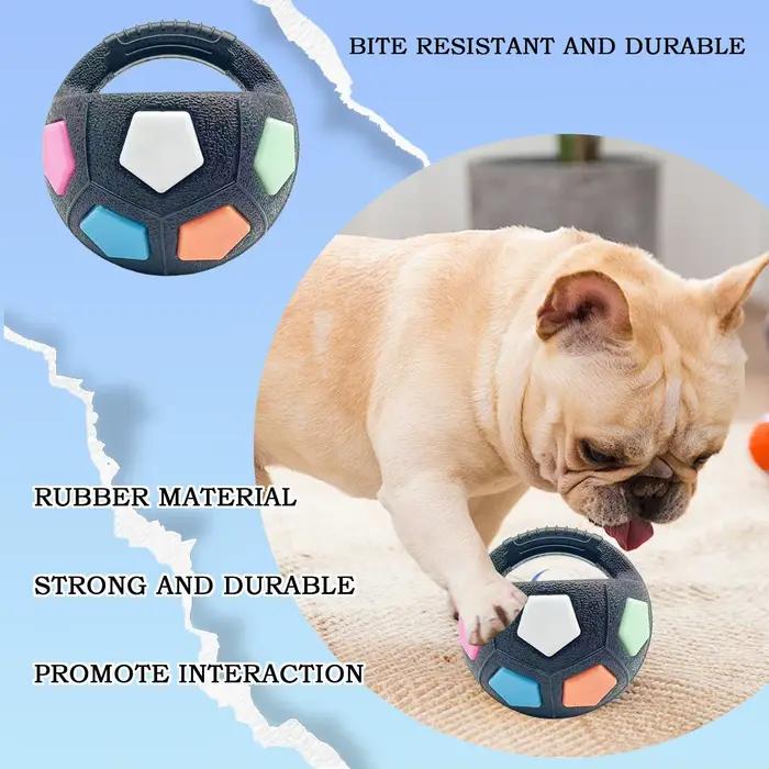 Jouet pour chien : Ballon de football flottant avec poignée