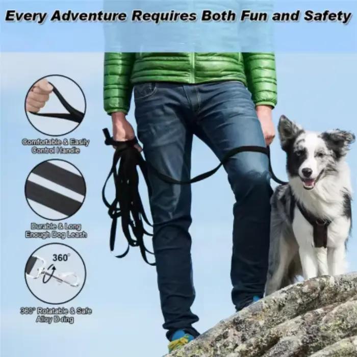 Laisse réglable pour chiens et chats