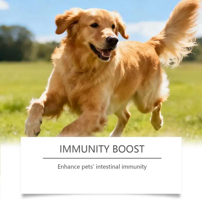Complément Probiotique pour Animaux de Compagnie avec des Ingrédients Doux et Sûrs, Nourrit en Douceur les Chiens pour un Confort Physique, Produit de Soin Quotidien pour Canins
