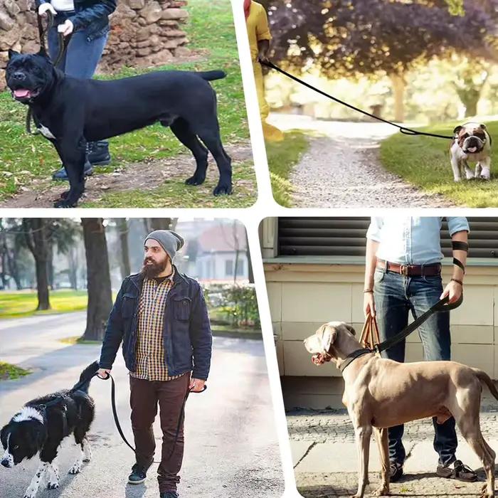 Laisse pour grand chien 5M 3M