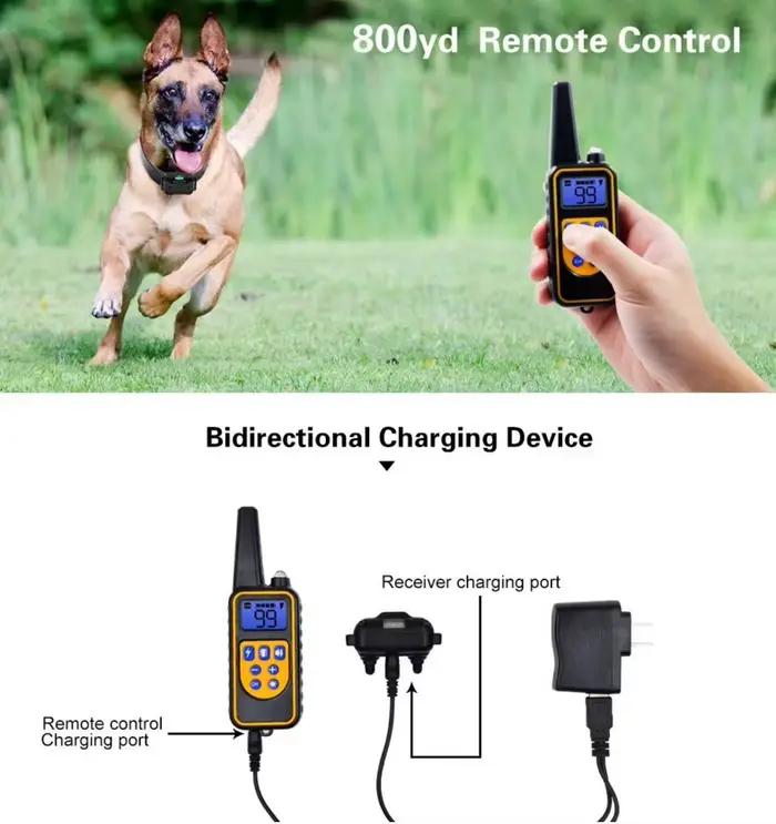Collier de dressage électrique pour chien