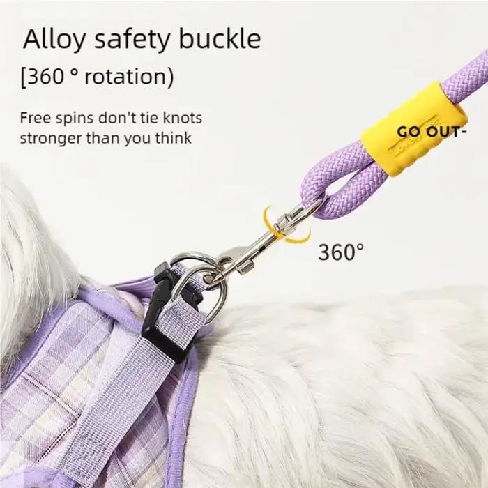 Laisse pour chien, laisse de marche pour animaux de compagnie