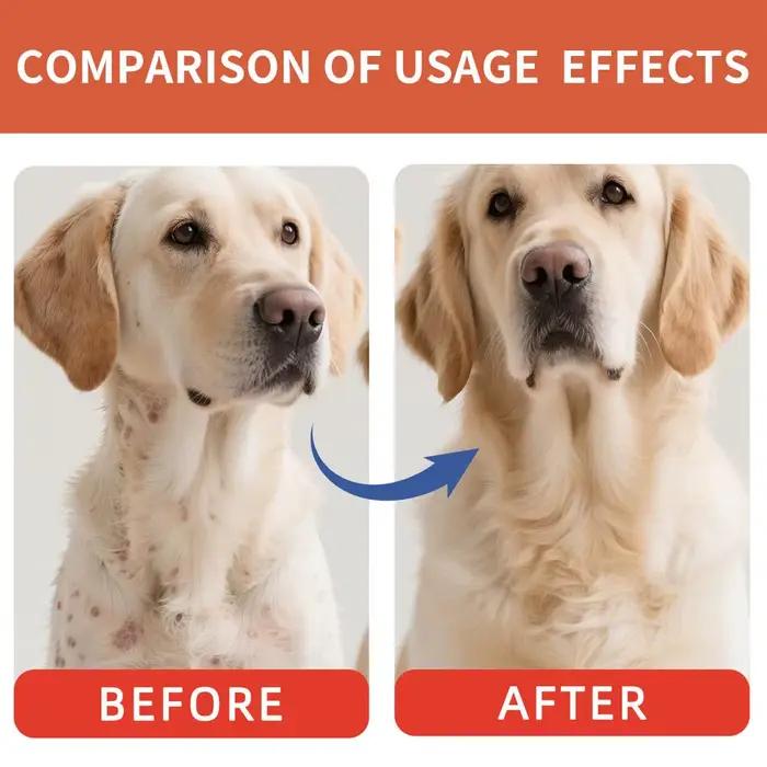 Poudre de champignons pour chiens et chats saveur bacon – Complément naturel pour le soutien immunitaire et la santé intestinale des animaux avec sel marin