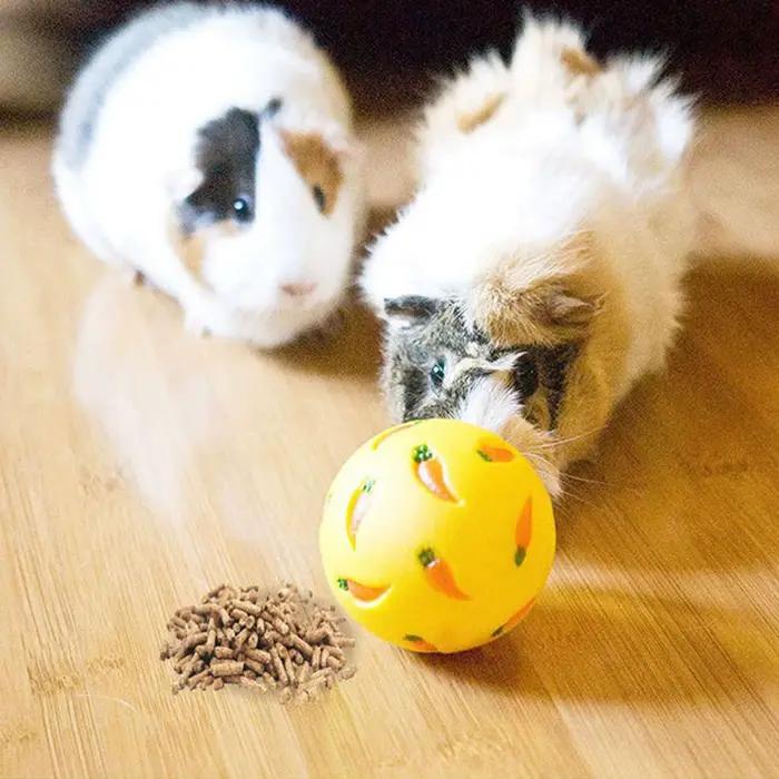 Jouet coule en forme de lapin pour animal de compagnie