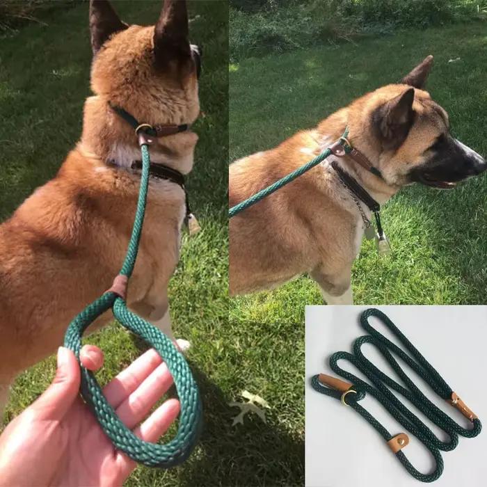 Laisse en plomb tressée pour chiens moyens et grands