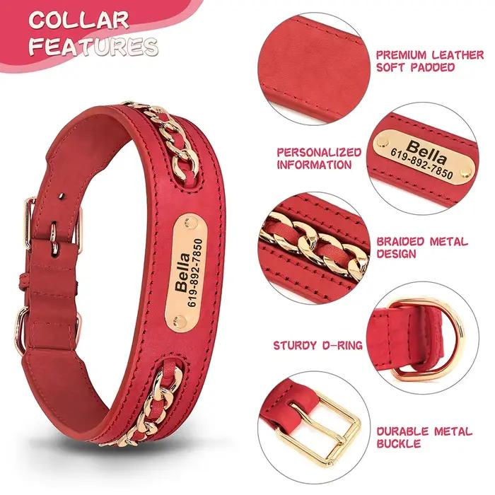 Collier de chien personnalisé