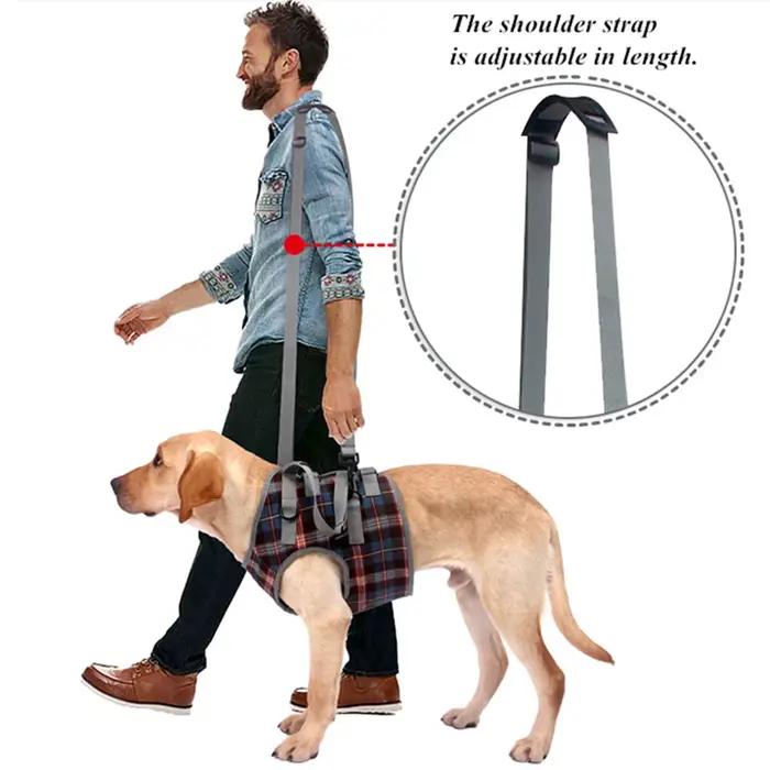 Harnais de soutien réglable pour chien