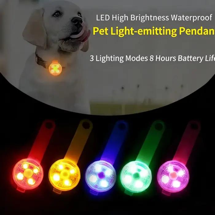 Collier pour chien avec lumière LED (rechargeable par USB)