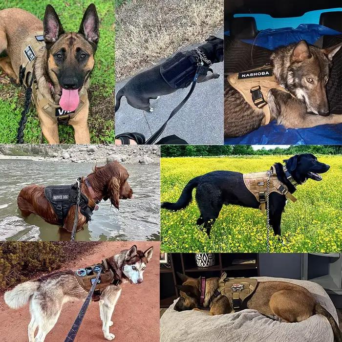 Harnais pour chien de grande taille