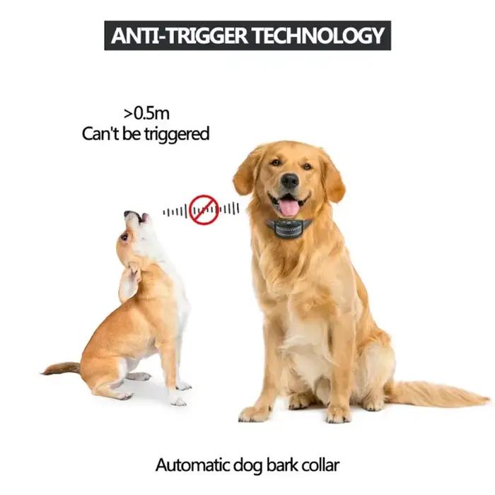 Collier Anti-aboiement pour chien