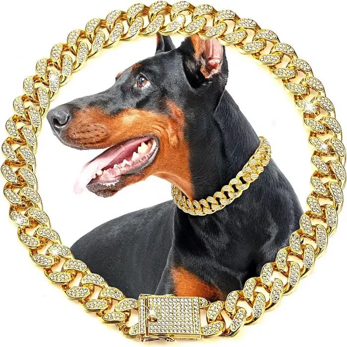 Collier de chaîne en métal doré pour animaux de compagnie