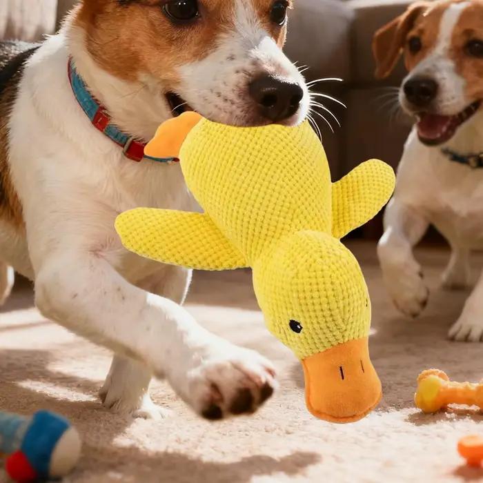 Jouet à mâcher pour chien canard grinçant
