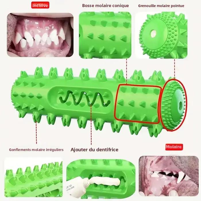 Bâton à mâcher dentaire approuvé par le vétérinaire – Jouet de brosse à dents rafraîchissante 3 en 1 pour petits/moyen