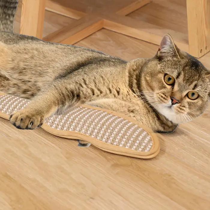 Coussin de jeu pour animaux de compagnie avec rembourrage à la catnip