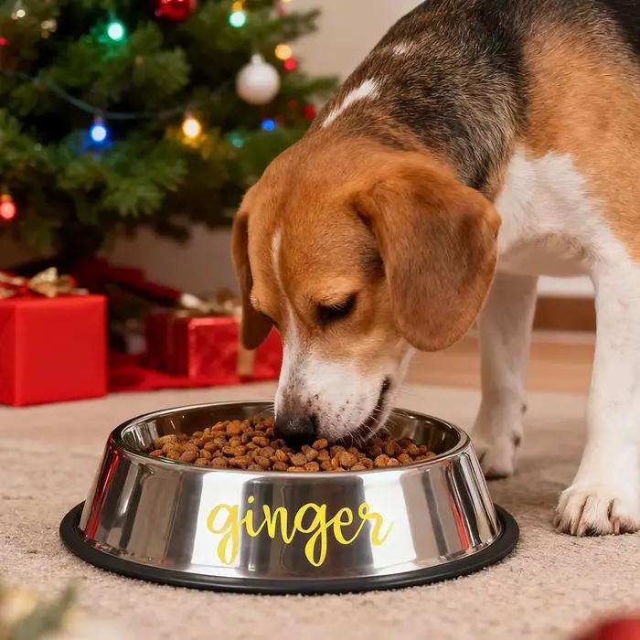 Bol personnalisé antidérapant en acier inoxydable pour chien