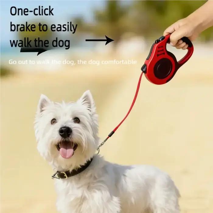Laisse rétractable automatique pour chien 3m/5m en nylon pour petits chiens et chats