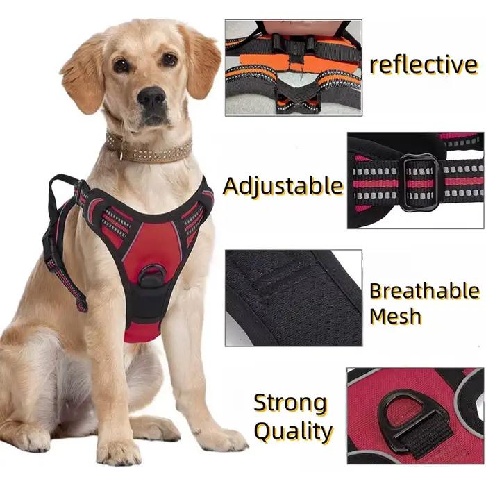 Harnissan RapDuty Casting pour grand chien