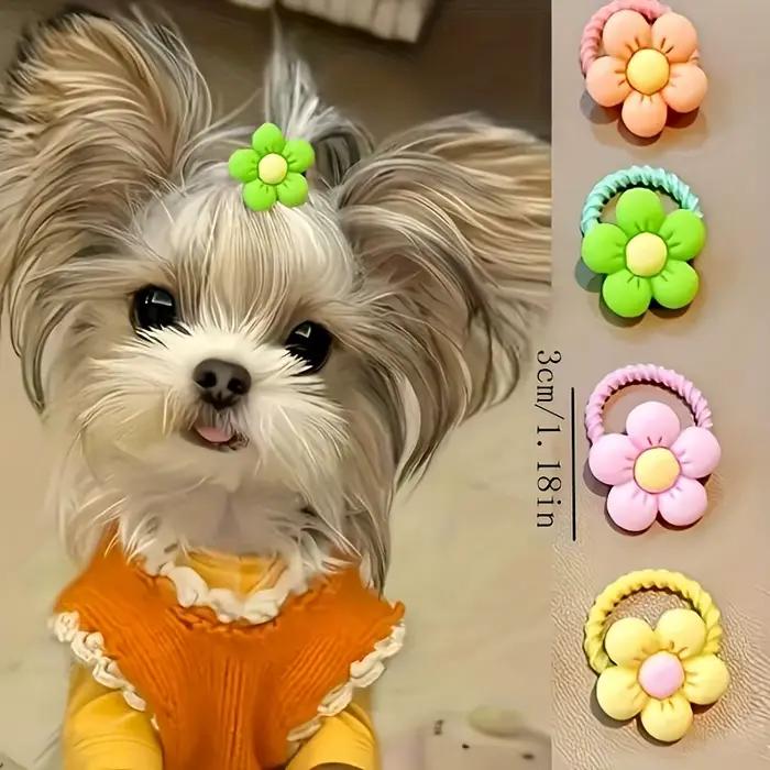 Ensemble d'accessoires pour poils d'animaux