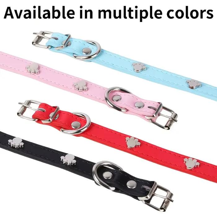 Collier pour chien gravé avec nom et numéro de téléphone