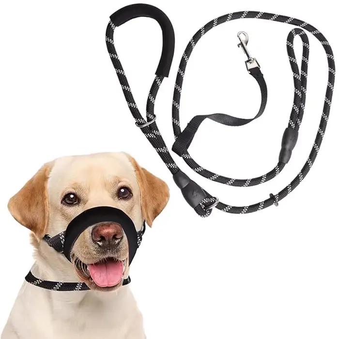 Laisse pour chien intégrée avec collier et cache-bouche