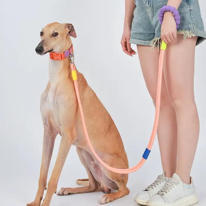 Laisse multifonctionnelle pour chien