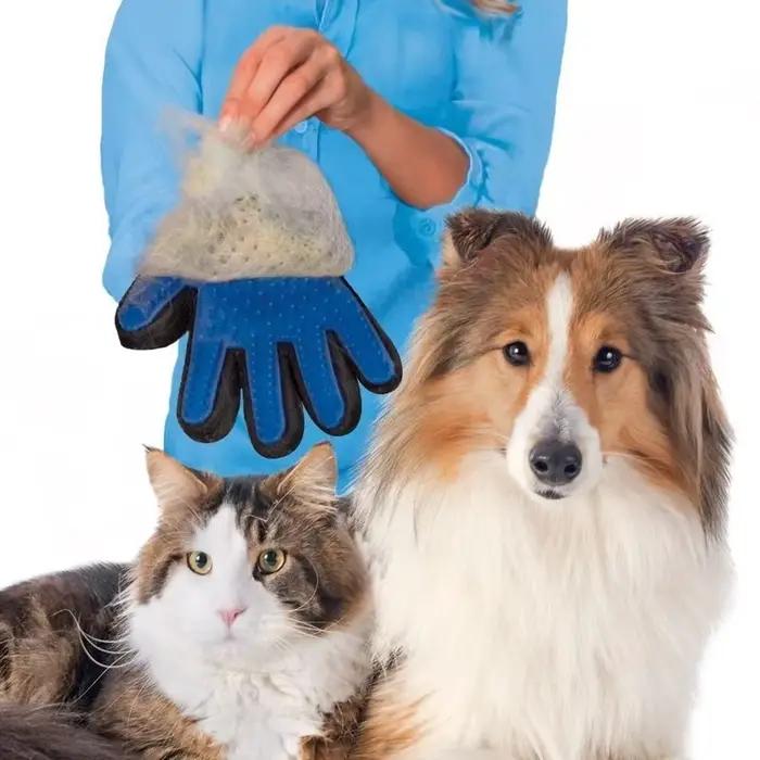 Gant de toilettage en laine pour chat et chien