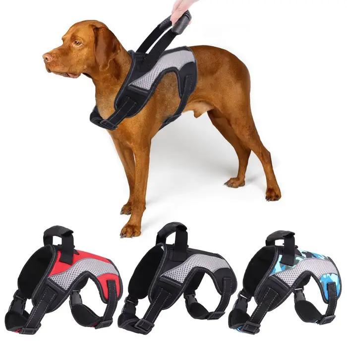 SFP sans côtes pour animaux de compagnie avec clips de laisse