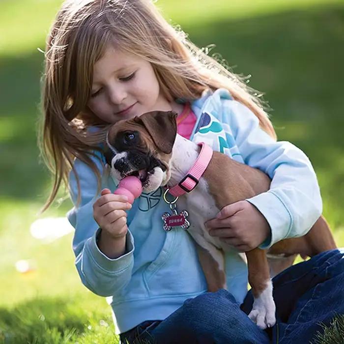 Jouet à mâcher pour chien en caoutchouc de dentition naturel chiot avec votre choix de XS-L
