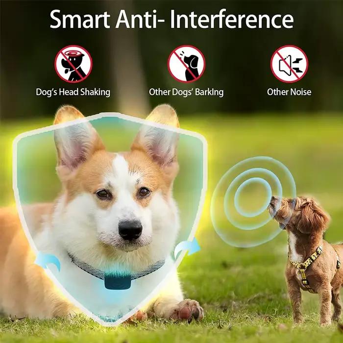 Dispositif Anti-aboiement pour chien