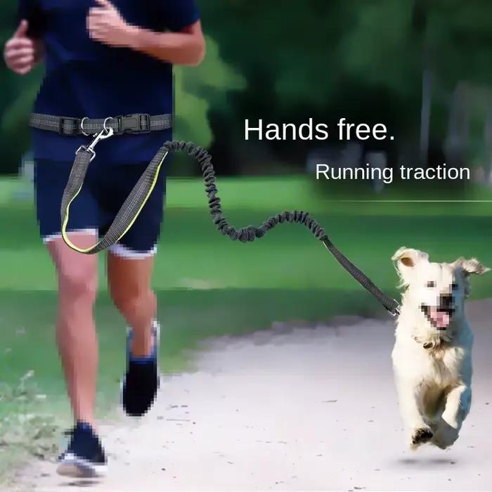 Laisse de chien mains libres pour animaux de compagnie marche course Jogging