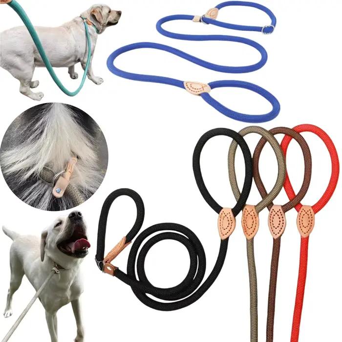 Laisse pour chien de 1.5M/1.8M
