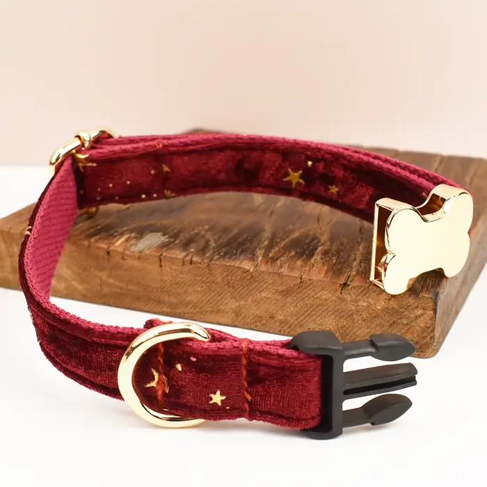 Collier de chien gravé personnalisé de qualité supérieure pour chiens de petite