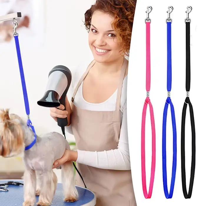 Laisse pour animaux de compagnie